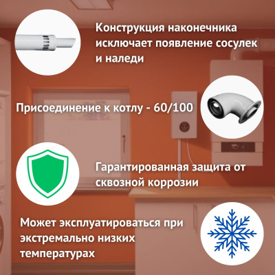 Дымоход для котла VIESSMANN Vitopend 100-W любой мощности, комплект антилед, Китай (DYMvitopend100W)